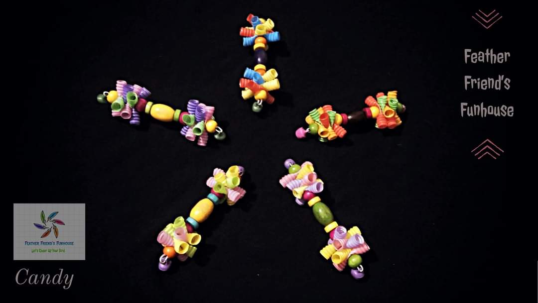 Candy — Bird Toy from Feather Friends Funhouse Bangladesh